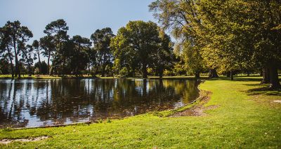 Call for research into antibiotic resistance in environment